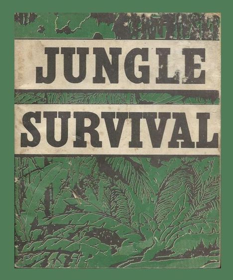 "Jungle Survival" steht in dicken Buchstaben auf einem grünen Hintergrund mit stilisierten Dschungelpflanzen.
