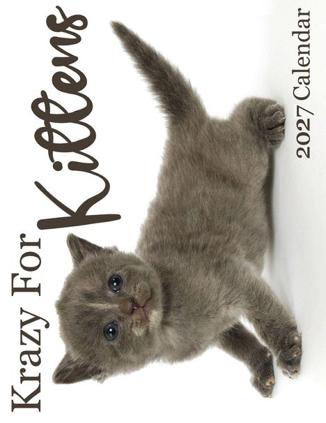 Text: "Krazy For Kittens" und "2027 Calendar". Ein grau getigertes Kätzchen liegt auf der Seite und schaut neugierig.