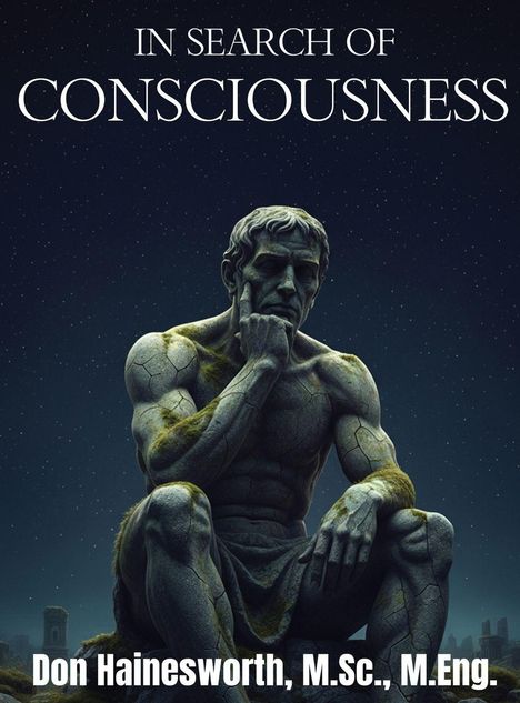 „In Search of Consciousness“. Darunter „Don Hainesworth, M.Sc., M.Eng.“. Eine nachdenkliche Steinstatue vor Sternenhimmel.