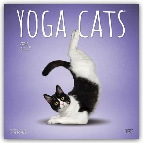 Browntrout Publishers Inc: Yoga Cats - Katzen Yoga 2026 - 16-Monatskalender, Kalender