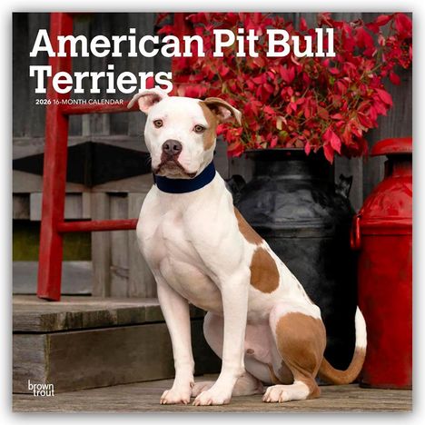 Browntrout Publishers: American Pit Bull Terriers 2026 - 16-Monatskalender, Kalender