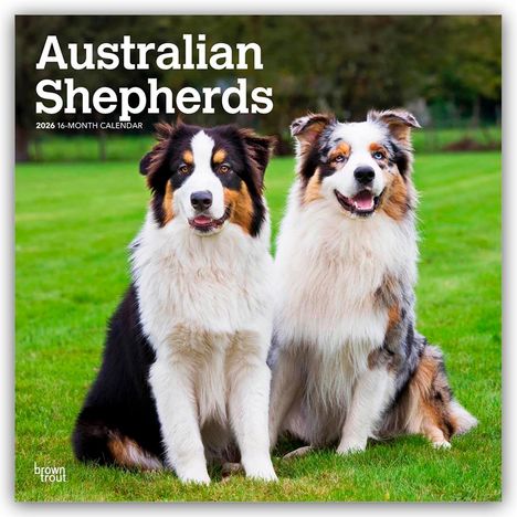 Browntrout Publishers: Australian Shepherds 2026 - 16-Monatskalender, Kalender