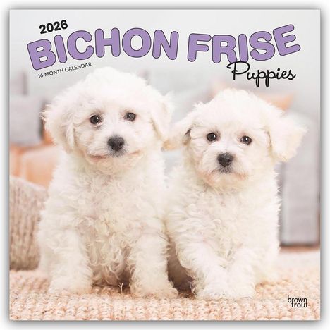 Browntrout Publishers: Bichon Frisé Puppies - Bichon Frisé Welpen 2026 - 16-Monatskalender, Kalender
