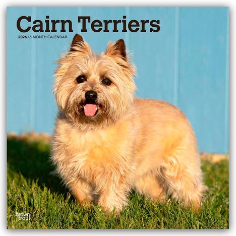 Browntrout Publishers: Cairn Terriers 2026 - 16-Monatskalender, Kalender
