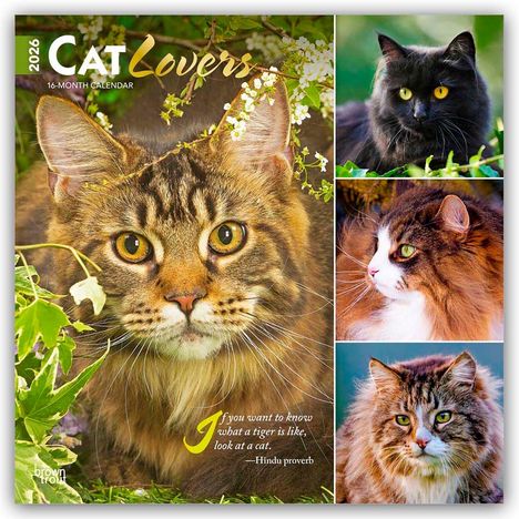 Browntrout Publishers: Cat Lovers - Katzenliebhaber 2026 - 16-Monatskalender, Kalender
