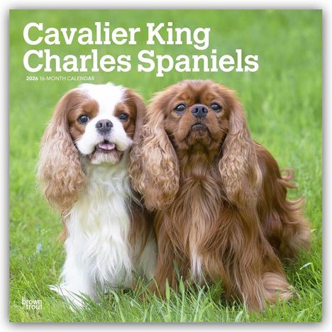 Browntrout Publishers: Cavalier King Charles Spaniels 2026 - 16-Monatskalender, Kalender