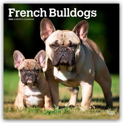 Browntrout Publishers: French Bulldogs - Französische Bulldogge 2026 - 16-Monatskalender, Kalender