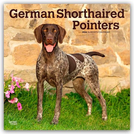 Browntrout Publishers: German Shorthaired Pointers - Deutsch Kurzhaar 2026 - 16-Monatskalender, Kalender