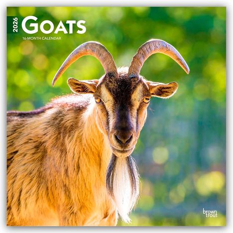 Browntrout Publishers: Goats - Ziegen 2026 - 16-Monatskalender, Kalender