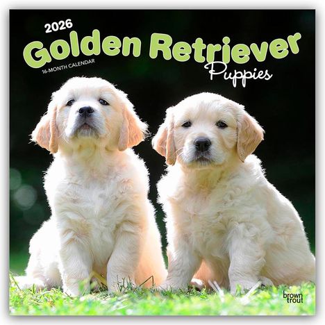 Browntrout Publishers: Golden Retriever Puppies - Golden Retriever Welpen 2026 - 16-Monatskalender, Kalender