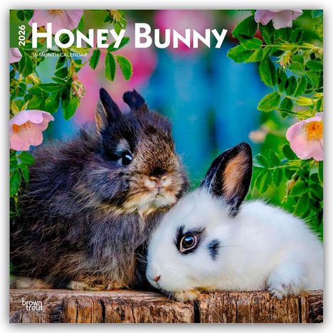 Browntrout Publishers: Honey Bunny - Süße Häschen 2026 - 16-Monatskalender, Kalender