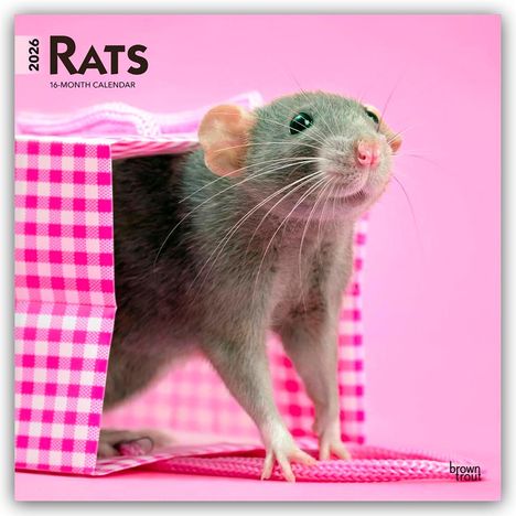 Browntrout Publishers: Rats - Ratten 2026 - 16-Monatskalender, Kalender