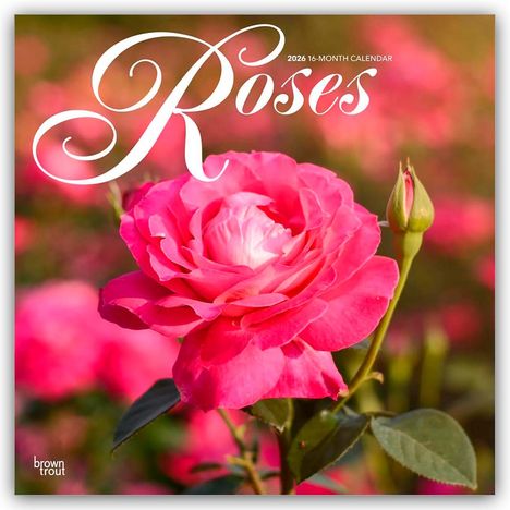 Browntrout Publishers: Roses - Rosen 2026 - 16-Monatskalender, Kalender