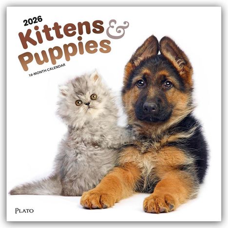 Browntrout Publishers: Kittens & Puppies - Kätzchen & Welpen 2026 - 16-Monatskalender, Kalender