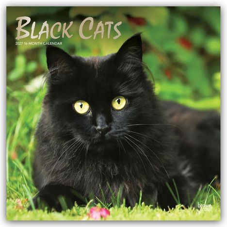 „Black Cats, 2027 16-Month Calendar“. Schwarze Katze mit gelben Augen liegt auf grünem Gras.