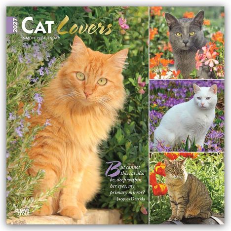 "2024 CAT Lovers 16-MONTH CALENDAR" und Zitat: "But cannot this cat also be...?" Illustrationen von Katzen in bunten Blumen.
