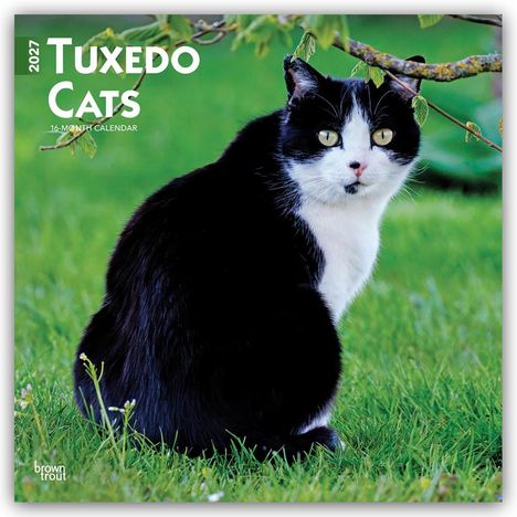 2027 Tuxedo Cats 16-Month Calendar. Eine schwarz-weiße Katze sitzt auf grünem Gras unter einem Ast.