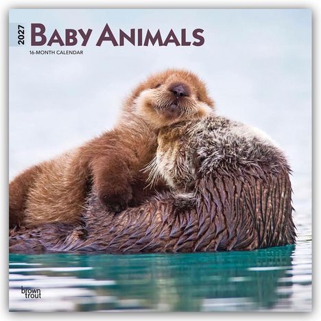 Text: "2027 Baby Animals, 16-Month Calendar." Ein flauschiges Otterbaby ruht auf einem erwachsenen Otter im Wasser.