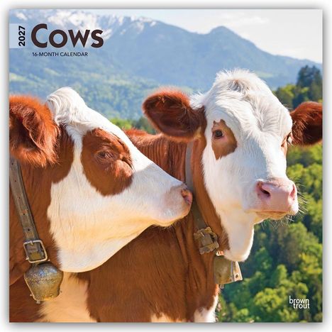 Text: „2027 Cows, 16-Month Calendar“. Zwei Kühe vor einer alpinen Landschaft mit grünen Bäumen und schneebedeckten Bergen.