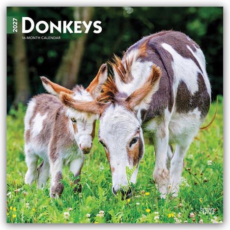 „2027 Donkeys 16-Month Calendar“. Ein Esel mit Fohlen auf einer grünen Wiese, umgeben von bunten Blumen.