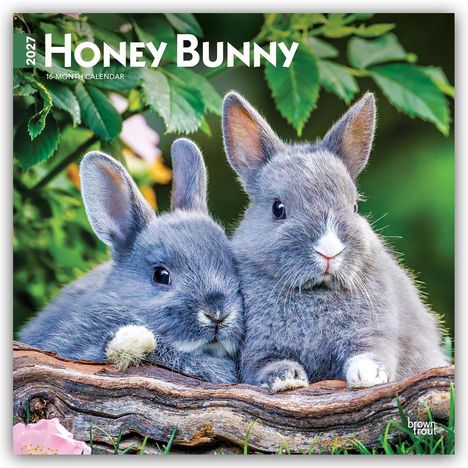 Oben steht "2027 Honey Bunny, 16-Month Calendar". Zwei graue Kaninchen schmiegen sich aneinander, umgeben von grünem Laub.