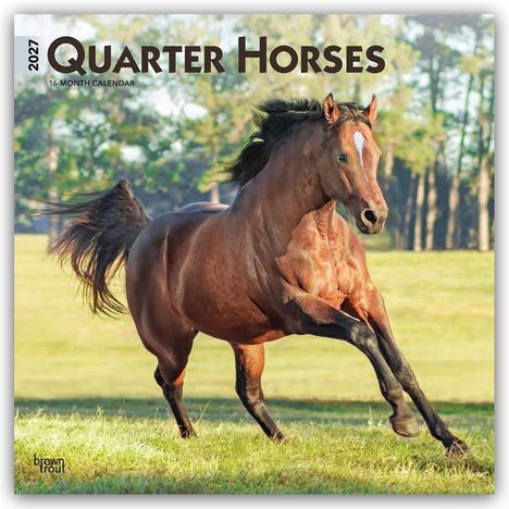 2027 Quarter Horses, 16-Month Calendar. Ein braunes Pferd galoppiert über eine Wiese mit Bäumen im Hintergrund.
