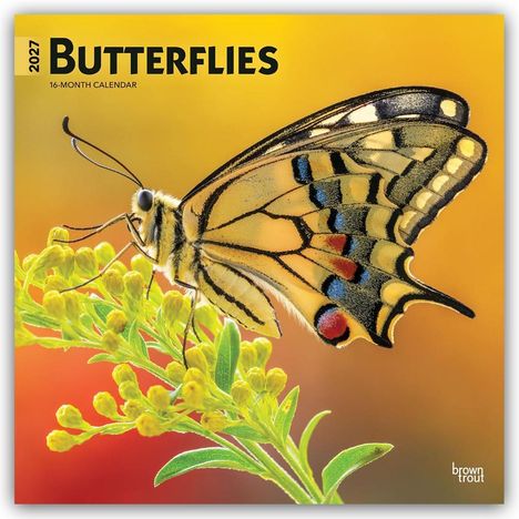 Text: "2027 BUTTERFLIES 16-MONTH CALENDAR". Nahaufnahme eines Schmetterlings auf gelben Blüten, mit buntem Hintergrund.