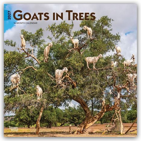 2027, Goats in Trees, 16-Month Calendar. Ziegen stehen und klettern in einem großen Baum in einer ländlichen Landschaft.