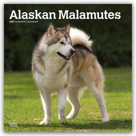 "Alaskan Malamutes 2027 16-Month Calendar" mit einem Hund im Vordergrund auf grünem Gras.