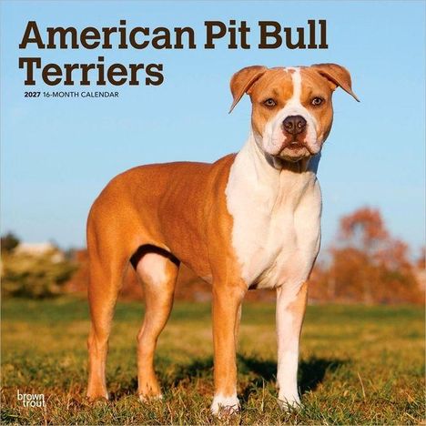 "American Pit Bull Terriers. 2027 16-Month Calendar." Ein kräftiger Hund steht auf einer Wiese mit Bäumen im Hintergrund.