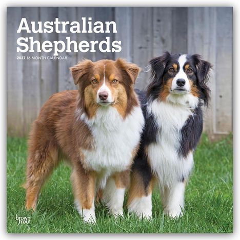 „Australian Shepherds 2027 16-Month Calendar“. Zwei Australian Shepherds stehen auf Gras vor einem Holzzaun.
