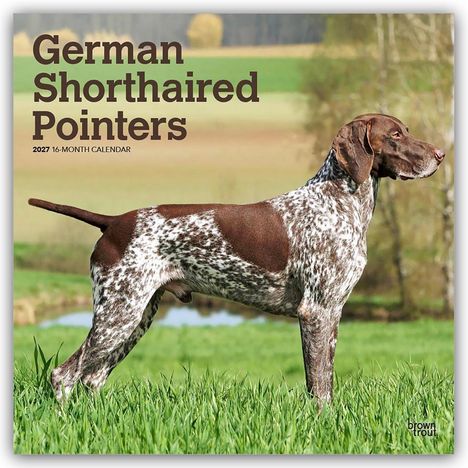 Text: "German Shorthaired Pointers, 2027 16-Month Calendar". Ein Hund steht auf einer grünen Wiese vor unscharfem Hintergrund.