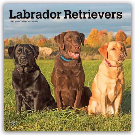 Texte: "Labrador Retrievers", "2027 16-MONTH CALENDAR". Drei Labradore sitzen nebeneinander auf einer Wiese, Herbsthintergrund.