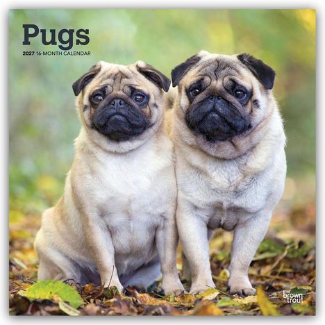 "Pugs, 2027 16-Month Calendar." Zwei Mops-Hunde sitzen nebeneinander auf Laub, der Hintergrund ist unscharf.