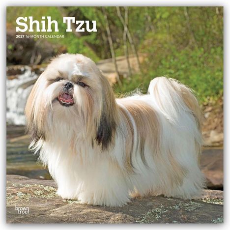 "Shih Tzu 2027 16-Month Calendar." Ein Shih Tzu-Hund steht auf einem Felsen in einer grünen Umgebung.