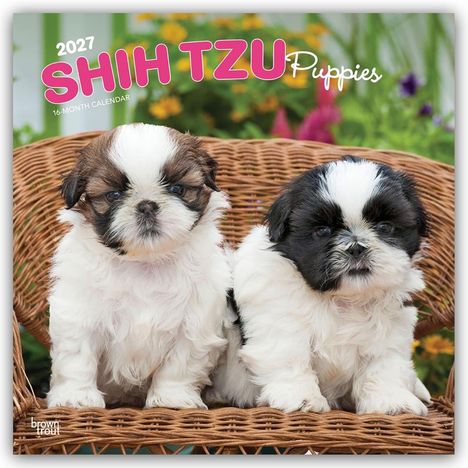 Text: "2027 Shih Tzu Puppies, 16-Month Calendar". Zwei niedliche, flauschige Shih Tzu-Welpen sitzen auf einem Korbstuhl.