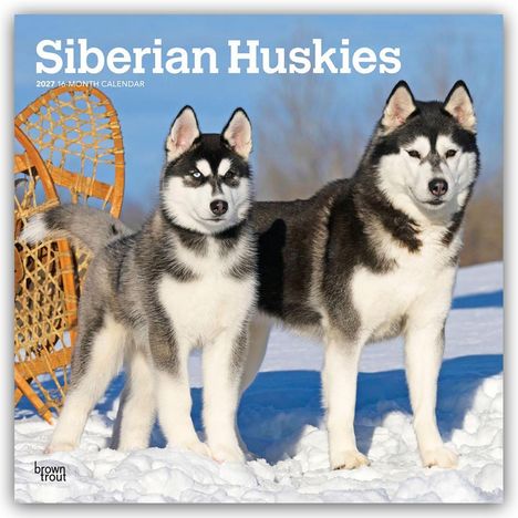 "Siberian Huskies 2027 16-Month Calendar" zeigt zwei Huskies im Schnee vor Schneeschuhen.