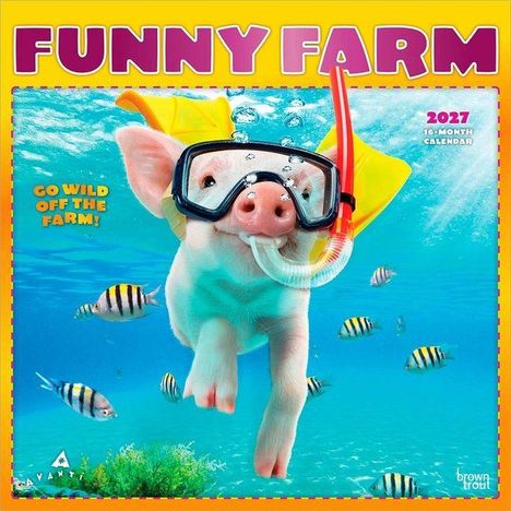 "Funny Farm", "Go wild off the farm!", "2027 16-Month Calendar". Ein Schwein taucht mit Schnorchel, umgeben von Fischen.