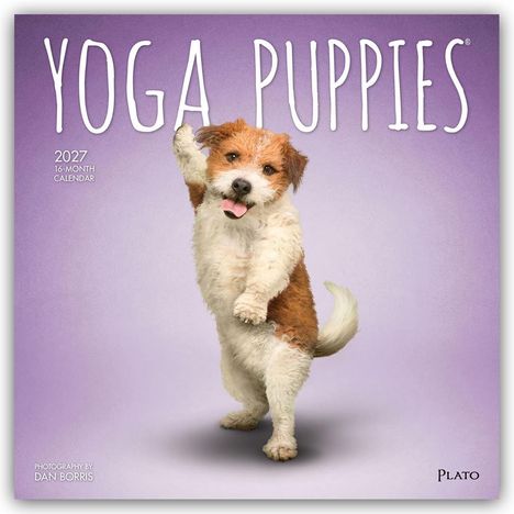 "YOGA PUPPIES" oben, "2027 16-MONTH CALENDAR" links. Ein flauschiger Hund macht eine Yoga-Pose auf lila Hintergrund.