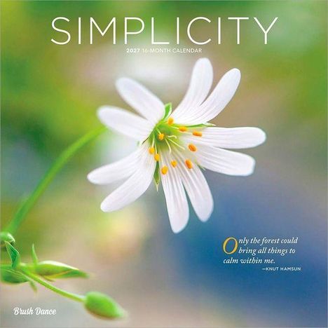 "Simplicity" steht oben. Zitat: "Only the forest could bring all things to calm within me." - Knut Hamsun. Gezeigt wird eine weiße Blume.