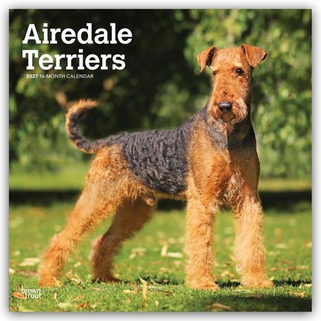 „Airedale Terriers“, „2027 16-Month Calendar“. Ein Airedale-Terrier steht im grünen, sonnigen Garten.