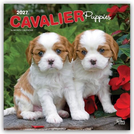 "2027 Cavalier Puppies 16-Month Calendar." Zwei Welpen sitzen vor grünen Blättern und roten Blumen.