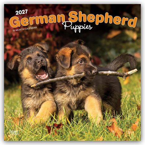 Text: "2027 German Shepherd Puppies, 16-Month Calendar". Zwei verspielte Schäferhundwelpen mit einem Stock auf grünem Gras.