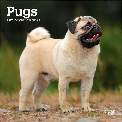 Text: "Pugs 2027 16-Month Calendar." Ein fröhlicher Mops steht draußen auf einem natürlichen Untergrund.