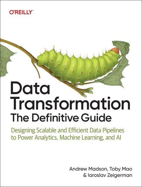 "Data Transformation: The Definitive Guide" steht im Vordergrund. Oben befindet sich ein grünes Raupen-Logo auf einem Ast.