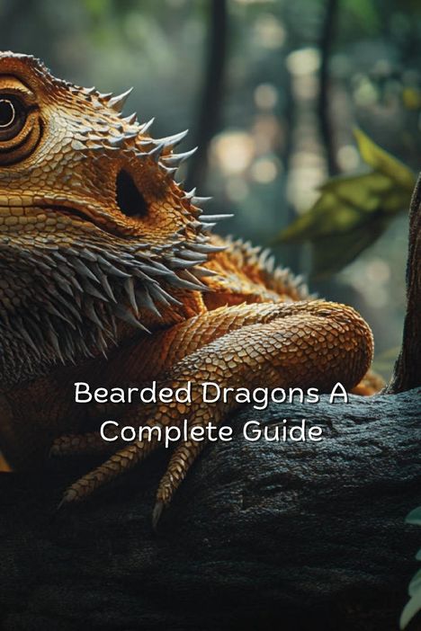 Judith Walters: Bearded Dragons A Complete Guide For Beginners, Buch