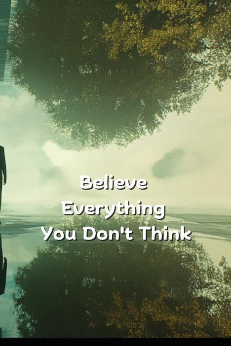 Dan Landault: Believe Everything You Don't Think, Buch