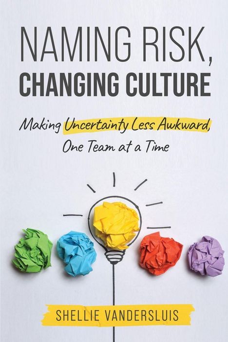 Shellie Vandersluis: Naming Risk, Changing Culture, Buch