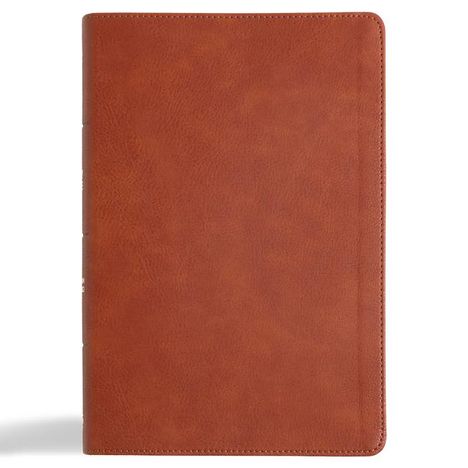 Csb Bibles By Holman: CSB Giant Print Reference Bible, Digital Study Edition, Burnt Sienna Leathertouch, Buch