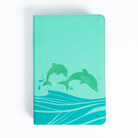 Holman Bible Publishers: KJV Easy-For-Me Bible for Early Readers, Seafoam Leathertouch, Buch